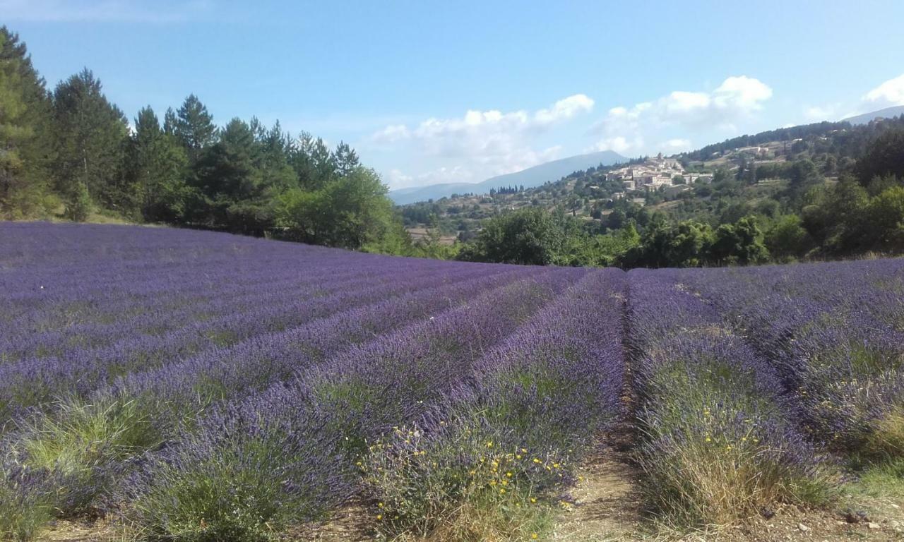 Le Petit Ventoux Hotel มาโลแซน ภายนอก รูปภาพ